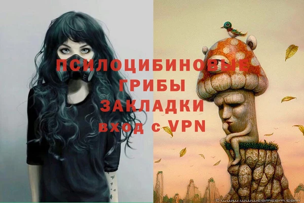 марки nbome Нязепетровск